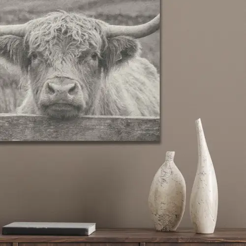 Schotse hooglander - Zwart - Wit - Hout PET vilt klein -sfeer6_closeup