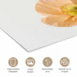 Papavers - Botanisch - Roze poster papier klein -closeup_NL