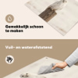 Sneeuwuil - Paal - Winter - Portret - Majestueus Inductie beschemer met haakjes klein -ky-schoon-nl