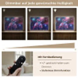 Flamingo's - Dieren - Ruimte - Galaxy Light Box met batterij (Wandlamp) middel -USP_dimbaarDE