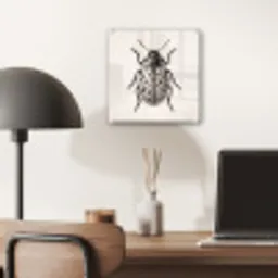 Kever - Insect - Vintage plexiglas 5mm klein -sfeer6