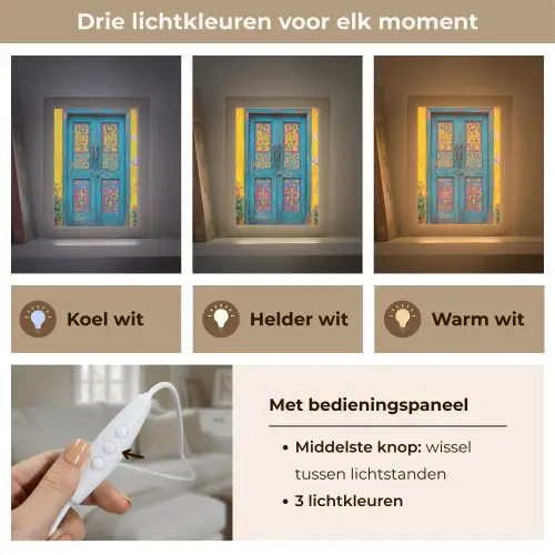 Deuren - Kleurrijk - Planten Light Box met kabel (Tafellamp) klein -USP_lichtkleurNL