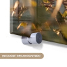 Koala - Bladeren - Ochtendlicht plexiglas 5mm klein -zzsysteem_NL