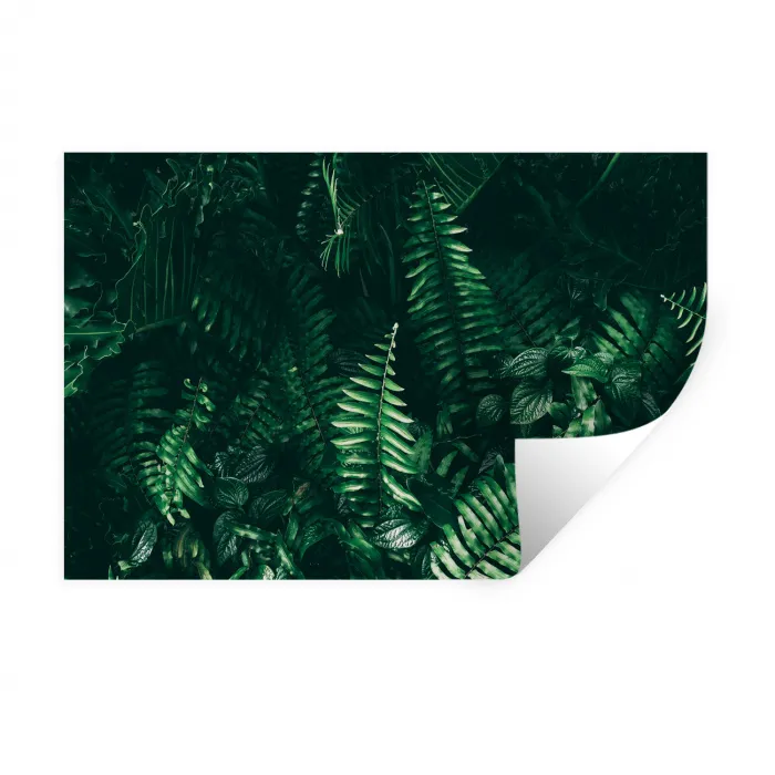 Bladeren - Jungle - Natuur - Tropisch - Planten Muursticker klein -3d