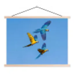 Papagaai - Vliegen - Blauw - Geel textielposter latten blank klein -3d