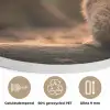 Konijn - Bos - Zonnestralen Akoestische PET Vilt - Rond klein -closeup_NL