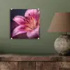 Roze - lelie - Dauwdruppels plexiglas 5mm klein -sfeer3