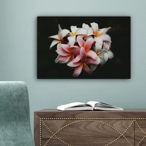 Bloemen - Roze - Zwart - Flora - Botanisch canvas 2cm klein -sfeer4