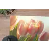 Tulpen - Roze - Zonnestralen muismat rubber klein -closeup