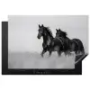 Paarden - Gras - Zwart - Wit Inductie beschermer vinyl 3mm klein -3d