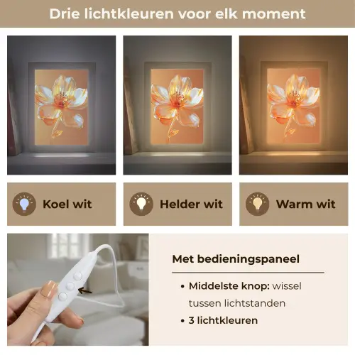 Glazen - Bloem - Oranje Light Box met kabel (Tafellamp) klein -USP_lichtkleurNL