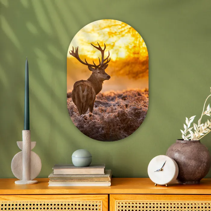 Hert - Dieren - Zonsondergang - Winter - Heide - Natuur Wandcirkel Ovaal Forex klein -sfeer2