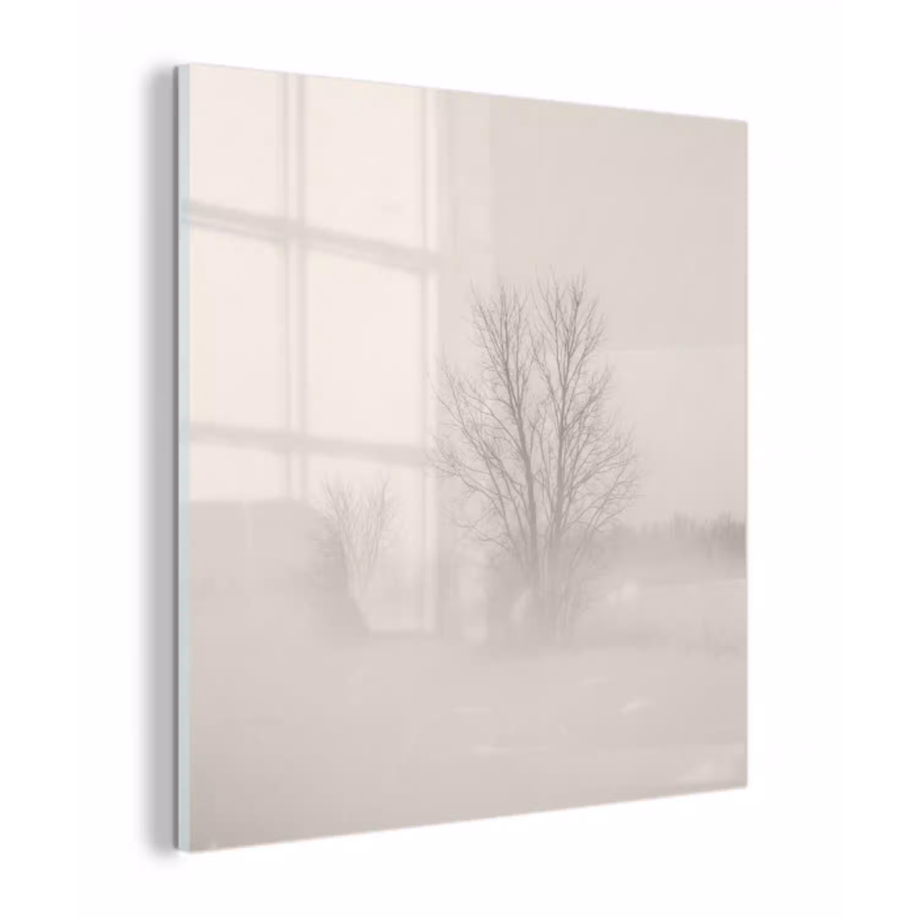 Boom - Mist - Sneeuw - Winter - Minimalistisch plexiglas 5mm klein -z3d
