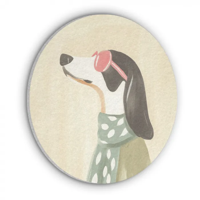 Hond - Zonnebril - Sjaal Akoestische PET Vilt - Rond klein -3d