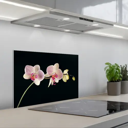 Orchidee - Bloemen - Zwart - Roze - Knoppen keuken achterwand spatscherm klein -3d_schuin