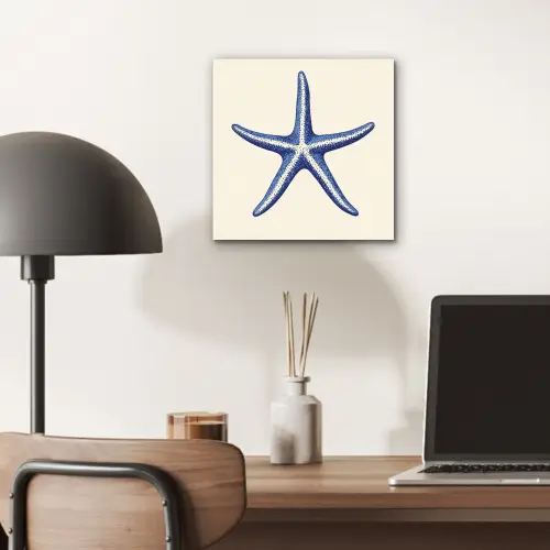 Blauwe zeester - Minimalistisch - Beige aluminium wit klein -sfeer5
