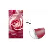 Roze - Roos - Romantisch fotobehang vinyl groot -3d
