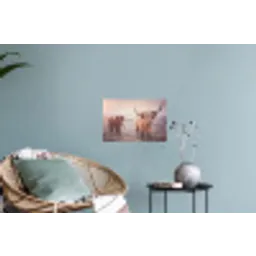 Schotse hooglanders - Licht - Lucht - Natuur Muursticker klein -plant