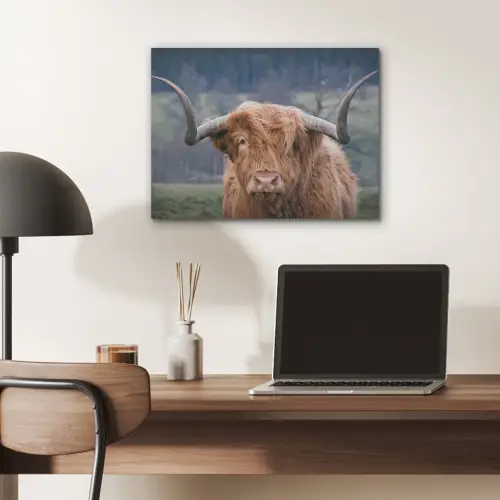 Schotse Hooglander - Koeienkop - Landschap - Natuur - Koe PET vilt klein -sfeer5