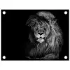 Majestueuze leeuw in de duisternis tuinposter los doek klein -3d