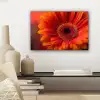 Oranje - Gerbera - Intens canvas 2cm klein -sfeer6