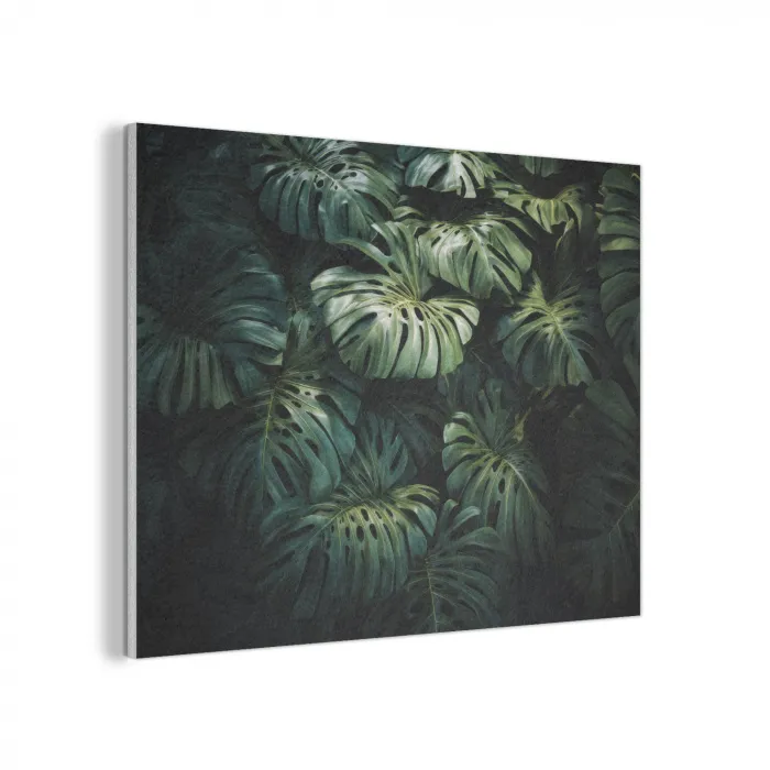 Plant - Monstera - Lichtinval PET vilt klein -3d