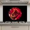 Bloem - Roos - Rood - Zwart keuken achterwand spatscherm klein -3d_website