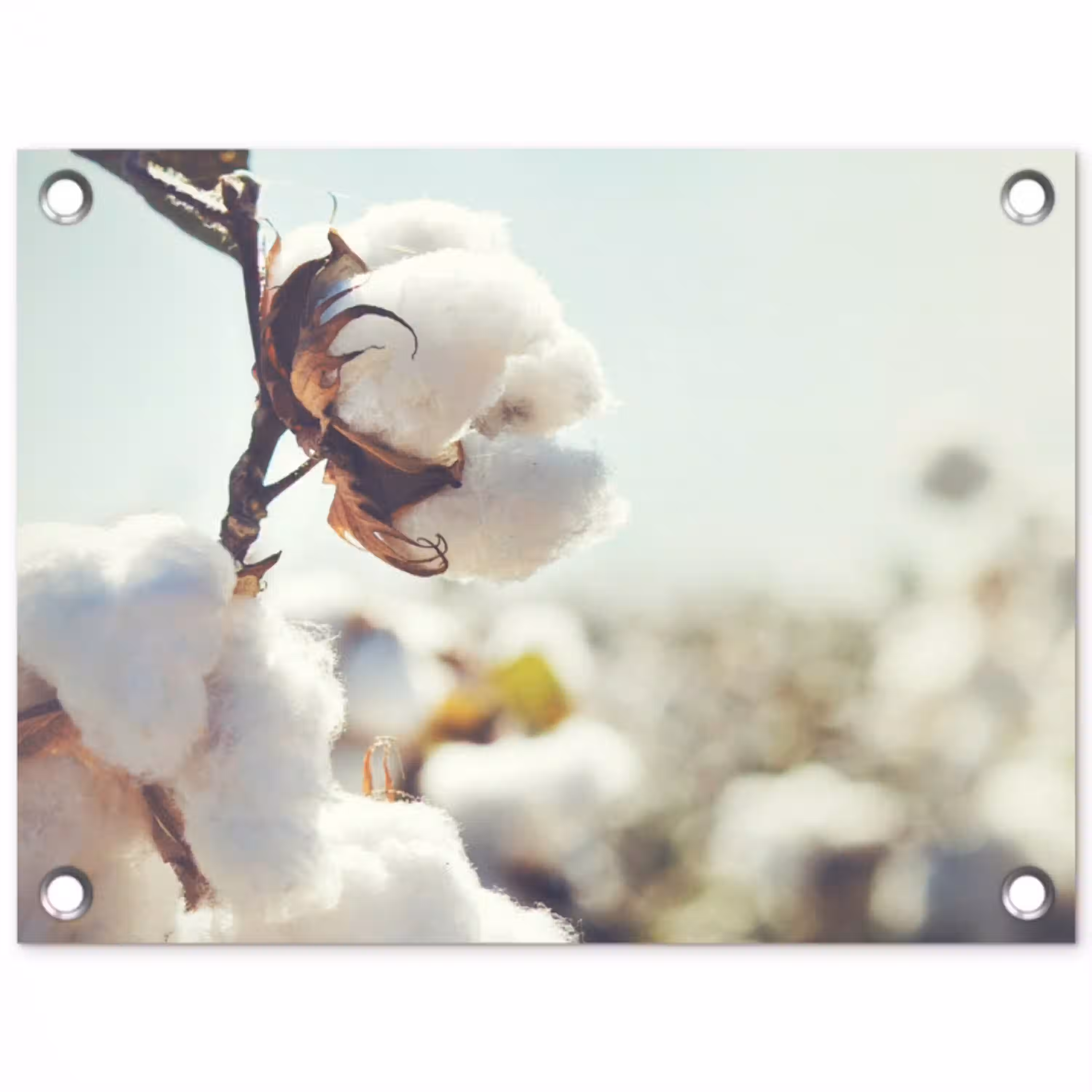 Planten - Bloem - Tak - Natuur tuinposter los doek klein -3d