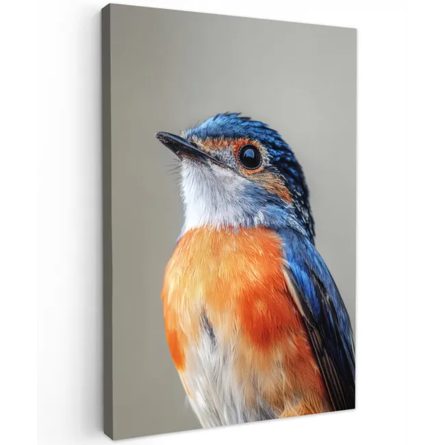 Kleurrijk - Vogeltje - Veren - Blauw Tuinposter op houten frame 2 cm dik klein -3d