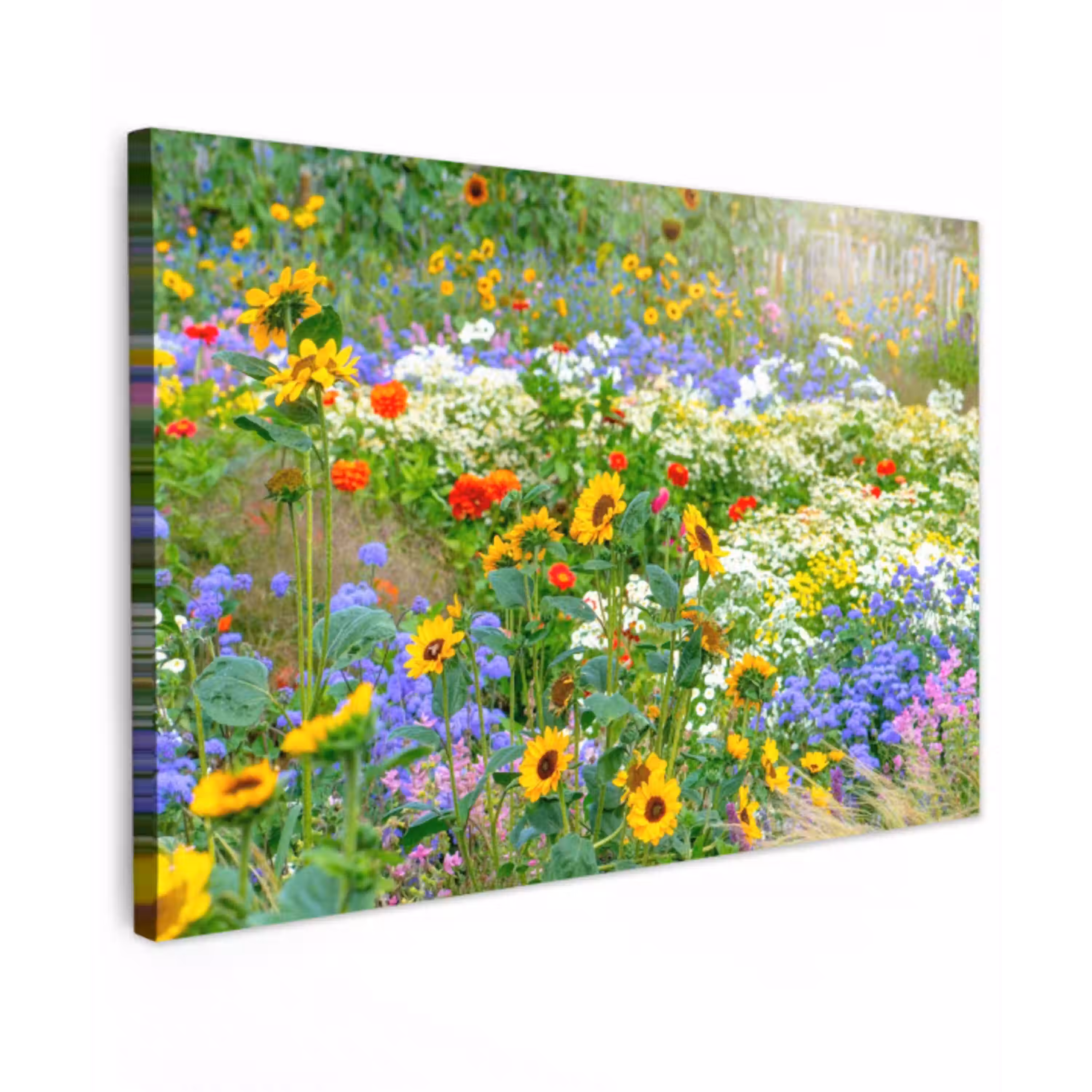 Zomerbloemen in volle bloei Tuinposter op houten frame 2 cm dik klein -3d