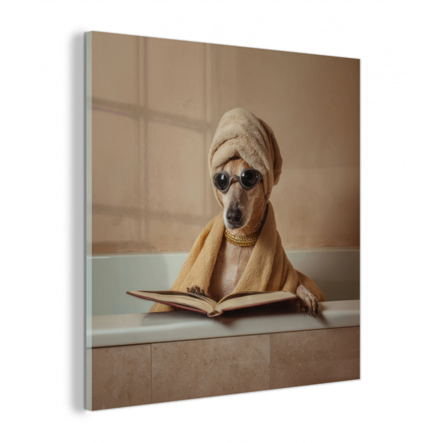 Bad - Hond - Boek - Zonnebril plexiglas 5mm klein -z3d