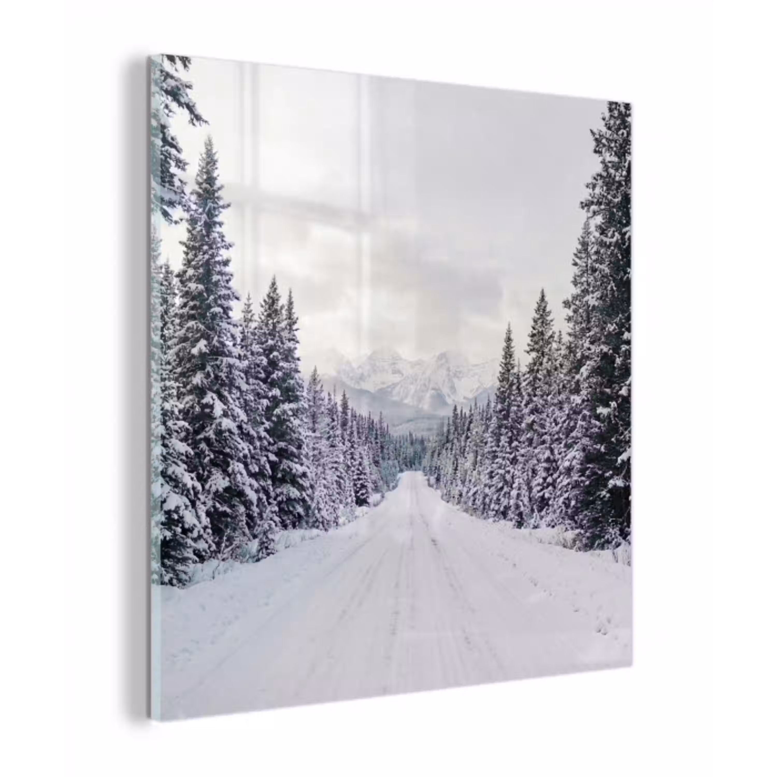 Weg - Sneeuw - Naaldbos - Winter - Avontuurlijk plexiglas 5mm klein -z3d