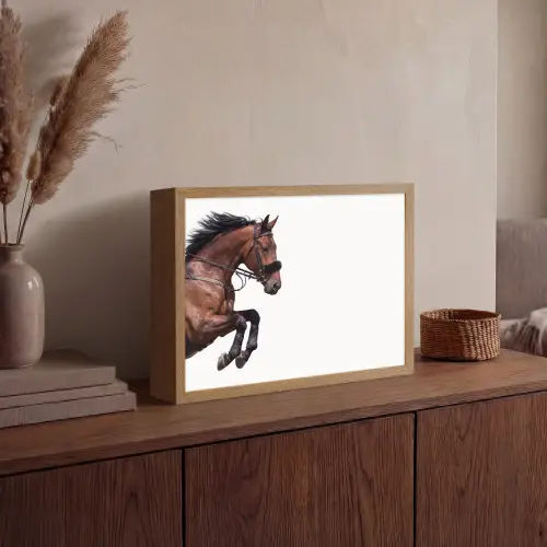Paard - Springen - Modern Light Box met batterij (Wandlamp) middel -sfeer2