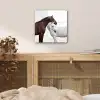Paard - Modern - Balans plexiglas 5mm klein -sfeer4
