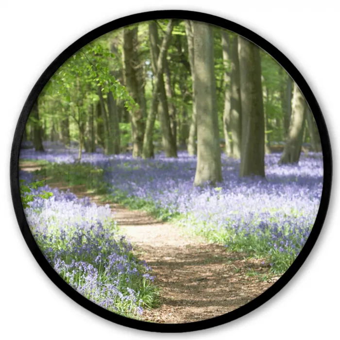 Bos - Pad - Bloemen - Paars - Groen - Natuur Fotolijst rond zonder passe partout klein -3d