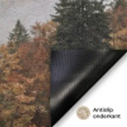 Bergen - Vallei - Mist - Herfst - Natuur Deurmat klein -antislip_NL