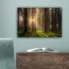 Bos - Gras - Zonlicht canvas 2cm klein -sfeer4