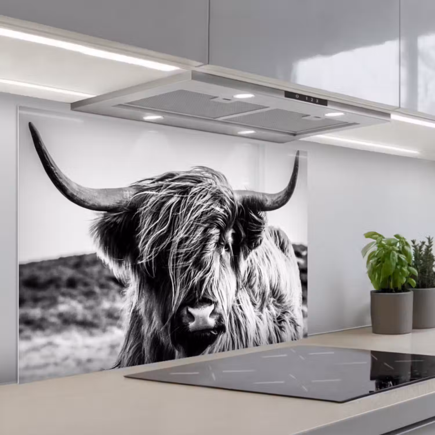 Spatscherm keuken - Koe - Schotse hooglander - Zwart - Wit - Dier - Natuur - Wild