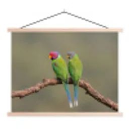 Papagaai - Tak - Natuur - Kleurrijk textielposter latten blank klein -3d