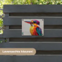 Ijsvogel - Paars - Penseelstreken - Kleurrijk tuinposter los doek klein -sfeer3