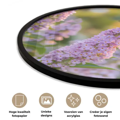Sierlijke - Vlinder - Paarse - Bloemen Fotolijst rond zonder passe partout klein -closeup_NL