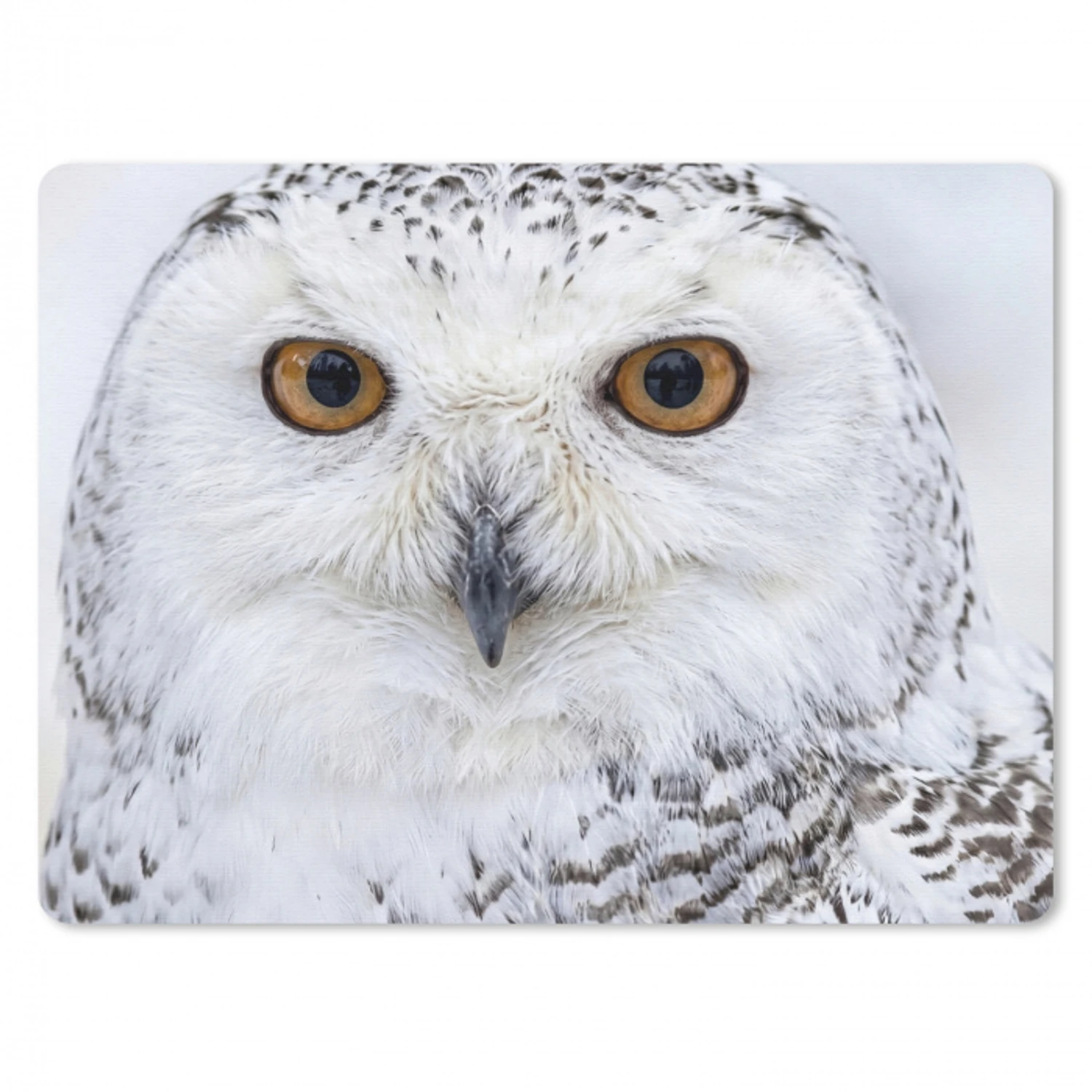 Sneeuwuil - Oog - Wildlife - Wit muismat rubber klein -3d