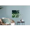 Tropisch - Inductie mat - Natuur - Inductie beschermer - Jungle Muursticker klein -plant