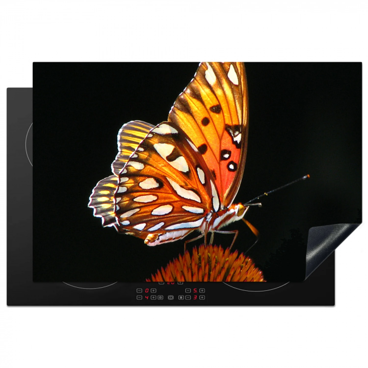 Vlinder - Bloemen - Insect - Portret - Zwart - Oranje Inductie beschermer vinyl 3mm klein -3d