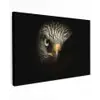 Vogel - Adelaar - Roofvogels - Oog - Snavel - Licht canvas 2cm klein -z3d