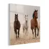 Kudde paarden - Stofwolk - Bruin - Zwart plexiglas 5mm klein -z3d