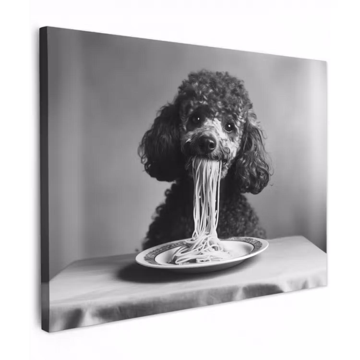 Leinwandbild - Pudel - Hund - Schwarz - Weiß - Niedlich - Nudeln