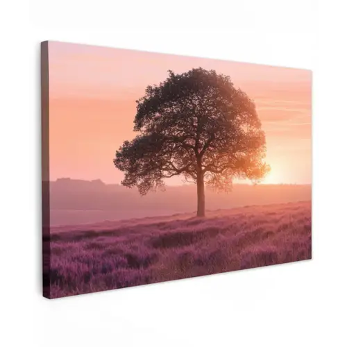 Boom - Heide - Zonsopgang canvas 2cm klein -z3d