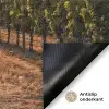 Wijngaard - Zonsondergang - Landschap Deurmat klein -antislip_NL
