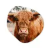 Koe- Schotse hooglander - Hoorns - Bruin - Landschap Wandcirkel Organisch Forex 3mm klein -3d
